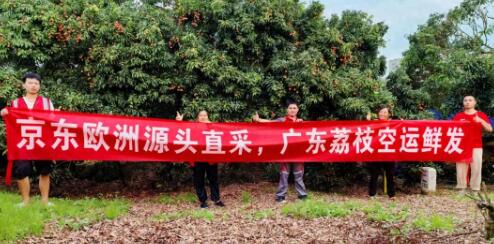 京东欧洲打通国际鲜果直采通路，岭南荔枝48小时“鲜”达欧洲